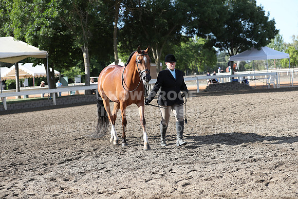 DAHA_Spring21_Sat_2642