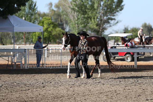 DAHA_Spring21_Sat_2651