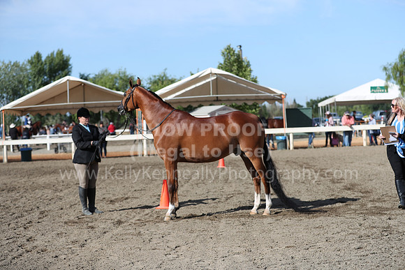 DAHA_Spring21_Sat_2659