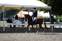 DAHA_Spring21_Sat_2845