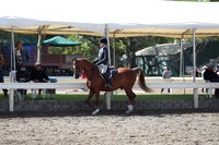 DAHA_Spring21_Sat_2905