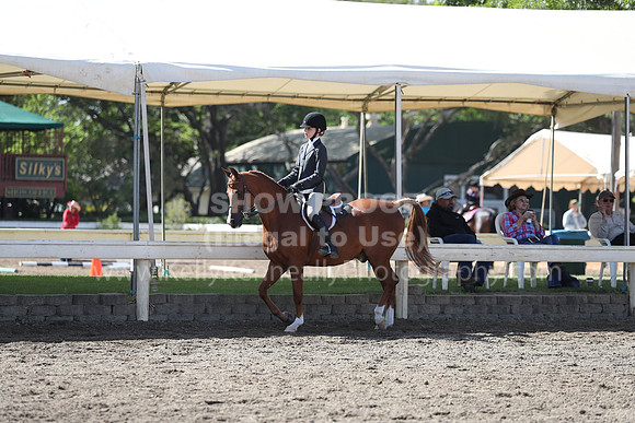 DAHA_Spring21_Sat_2904