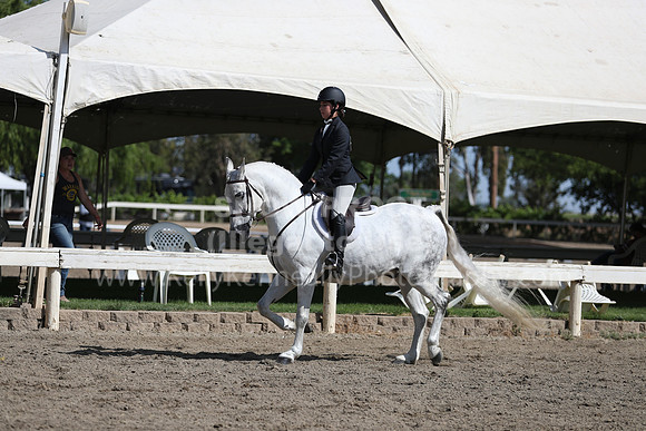 DAHA_Spring21_Sat_2908