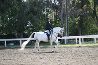 DAHA_Spring21_Sat_2914