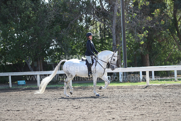 DAHA_Spring21_Sat_2914