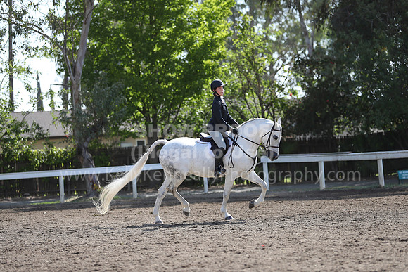DAHA_Spring21_Sat_2912