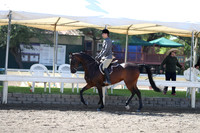 DAHA_Spring21_Sat_2933