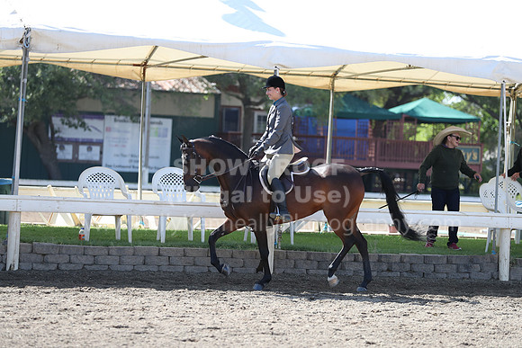 DAHA_Spring21_Sat_2933