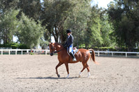 DAHA_Spring21_Sat_2920