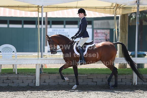 DAHA_Spring21_Sat_2967