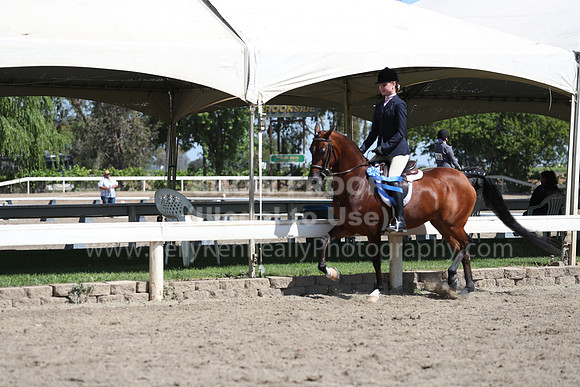 DAHA_Spring21_Sat_2975