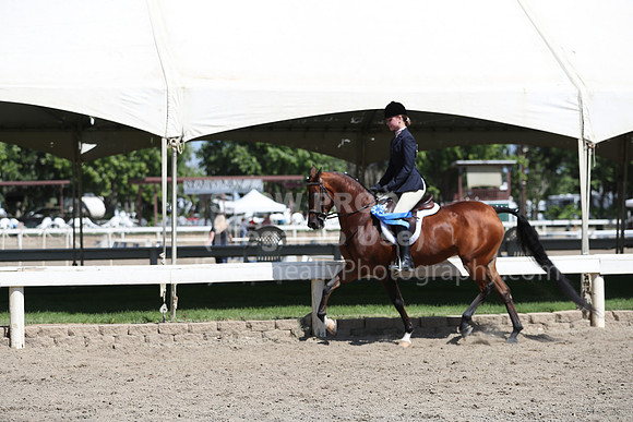 DAHA_Spring21_Sat_2979