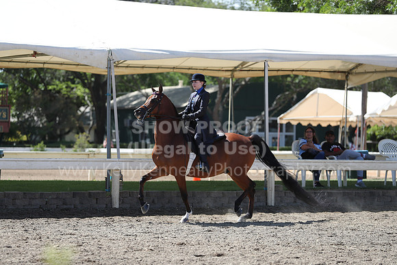 DAHA_Spring21_Sat_3019