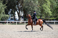 DAHA_Spring21_Sat_3022