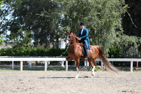 DAHA_Spring21_Sat_3055