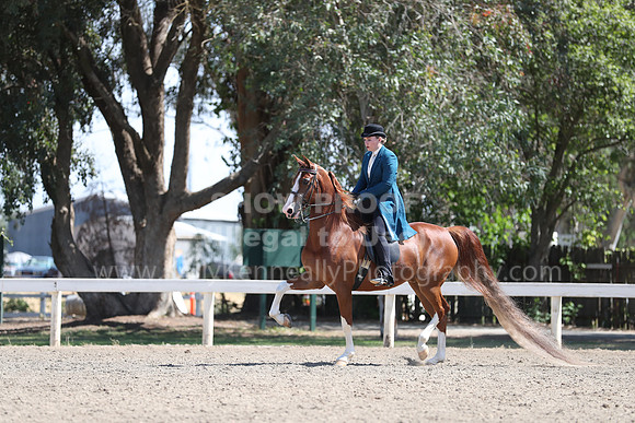 DAHA_Spring21_Sat_3050