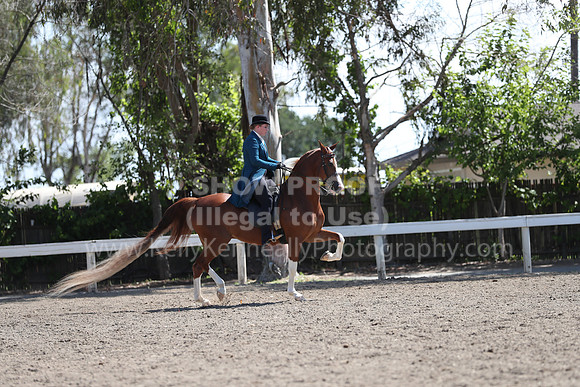DAHA_Spring21_Sat_3065