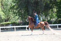 DAHA_Spring21_Sat_3074