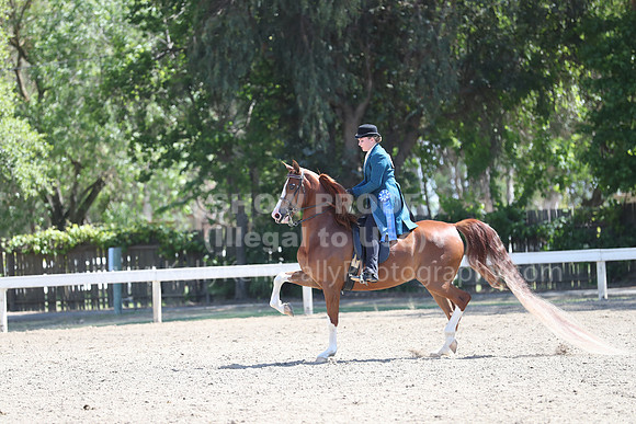 DAHA_Spring21_Sat_3074