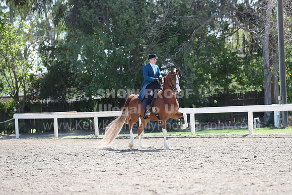 DAHA_Spring21_Sat_3069