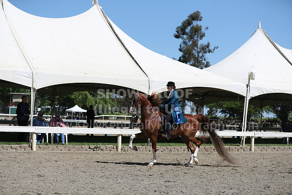 DAHA_Spring21_Sat_3081