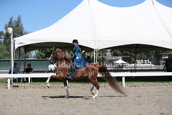 DAHA_Spring21_Sat_3092