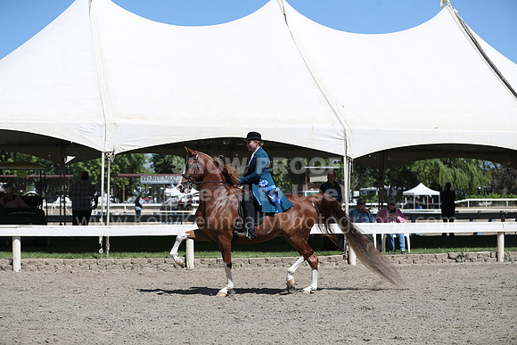 DAHA_Spring21_Sat_3087