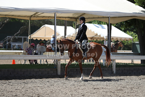 DAHA_Spring21_Sat_3105