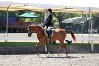 DAHA_Spring21_Sat_3106