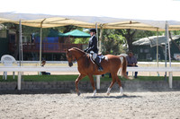 DAHA_Spring21_Sat_3127