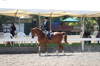 DAHA_Spring21_Sat_3129