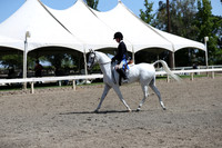 DAHA_Spring21_Sat_3112