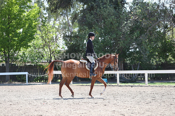 DAHA_Spring21_Sat_3109