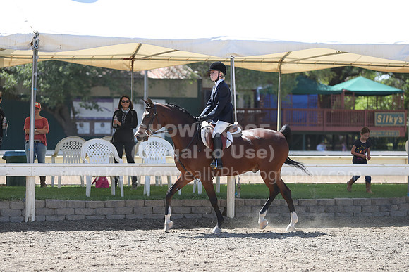DAHA_Spring21_Sat_3133