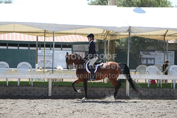 DAHA_Spring21_Sat_3151