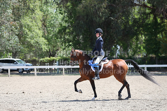 DAHA_Spring21_Sat_3135