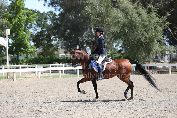 DAHA_Spring21_Sat_3137