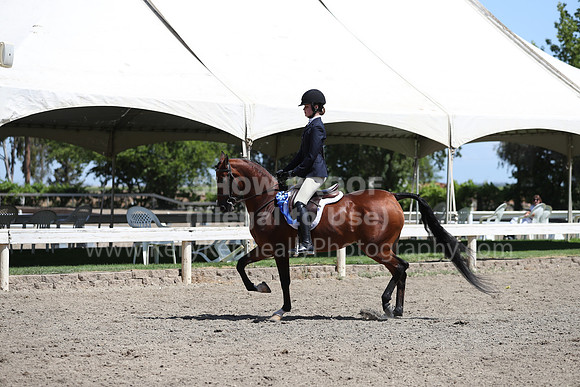 DAHA_Spring21_Sat_3138