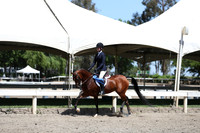 DAHA_Spring21_Sat_3164