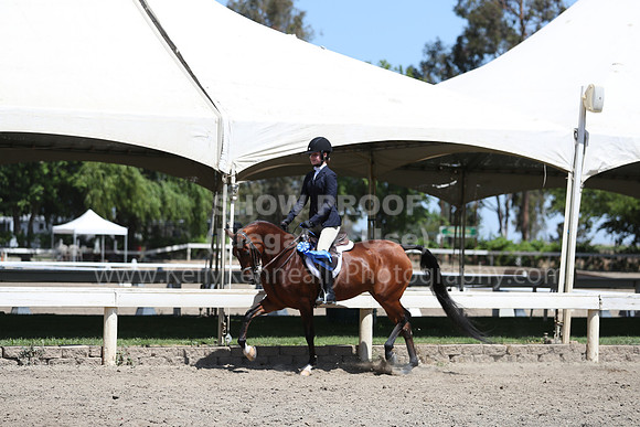 DAHA_Spring21_Sat_3164