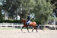 DAHA_Spring21_Sat_3156
