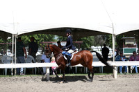 DAHA_Spring21_Sat_3169