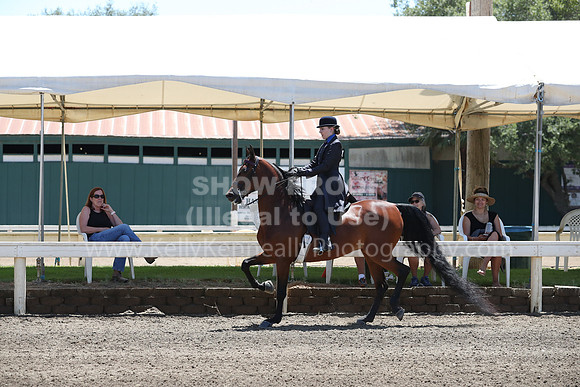 DAHA_Spring21_Sat_3252