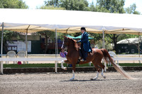 DAHA_Spring21_Sat_3247
