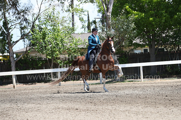 DAHA_Spring21_Sat_3263