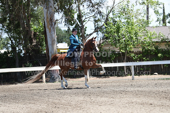 DAHA_Spring21_Sat_3261