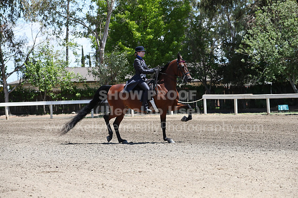 DAHA_Spring21_Sat_3267