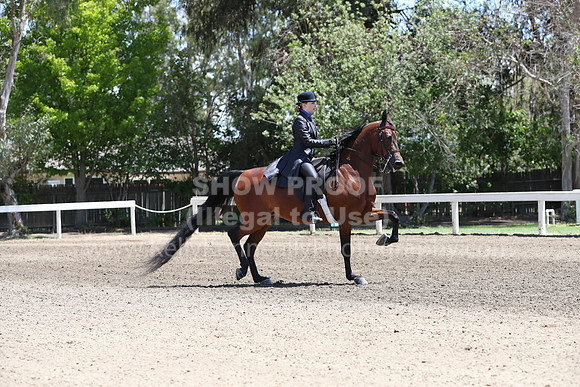 DAHA_Spring21_Sat_3268