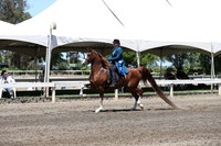 DAHA_Spring21_Sat_3283