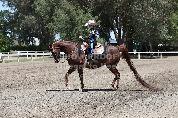 DAHA_Spring21_Sat_3356